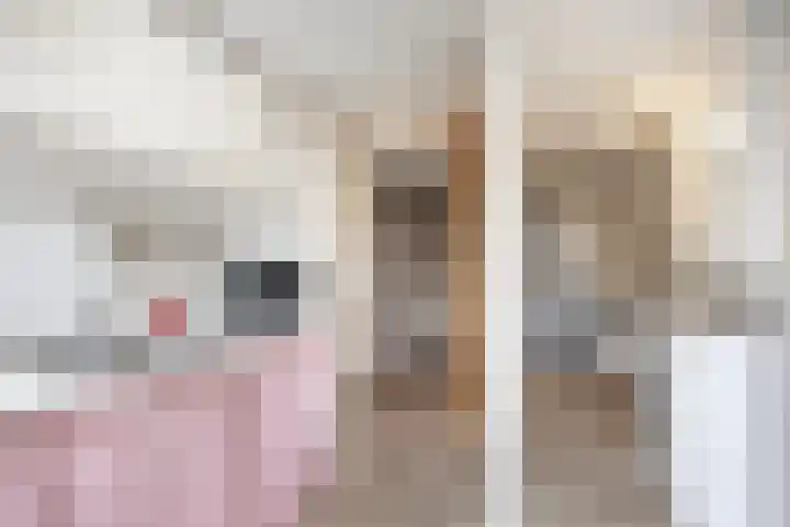Averinkstraat 7 Delden thumbnail 34
