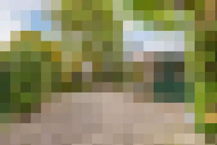 Averinkstraat 7 Delden thumbnail 42