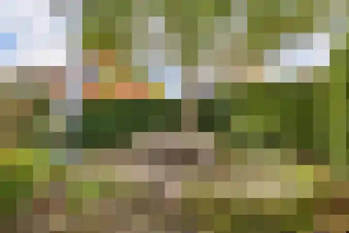 Averinkstraat 7 Delden thumbnail 45