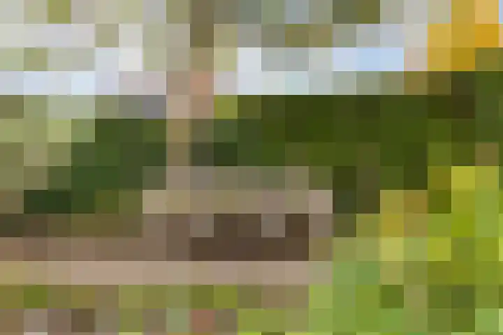 Averinkstraat 7 Delden thumbnail 46