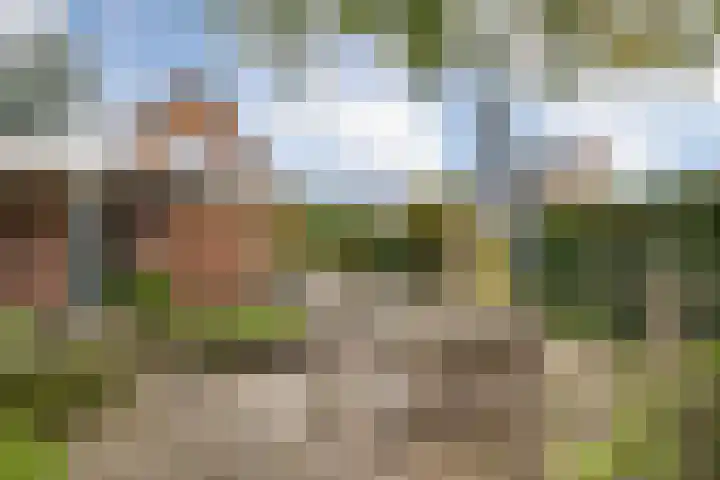 Averinkstraat 7 Delden thumbnail 47