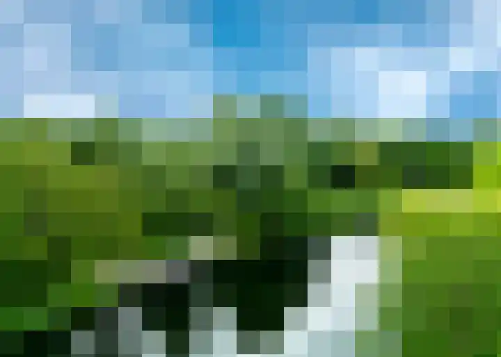 Averkamplaan 34 Heerhugowaard thumbnail 41