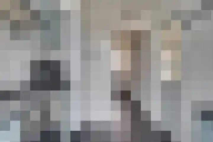 Averkampstraat 12 Eindhoven thumbnail 13
