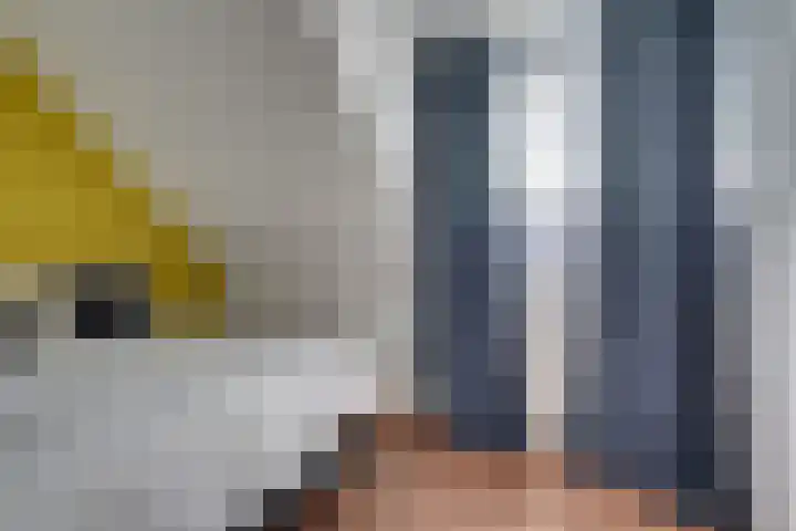 Averkampstraat 12 Eindhoven thumbnail 18