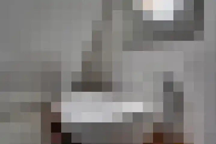 Averkampstraat 12 Eindhoven thumbnail 20