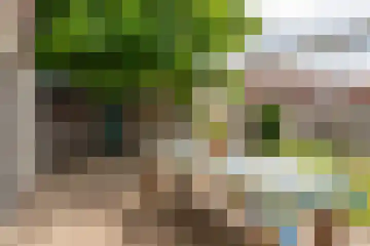 Averkampstraat 12 Eindhoven thumbnail 24