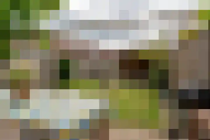 Averkampstraat 12 Eindhoven thumbnail 25