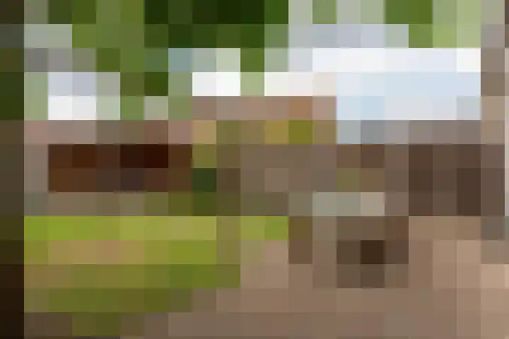 Averkampstraat 12 Eindhoven thumbnail 27