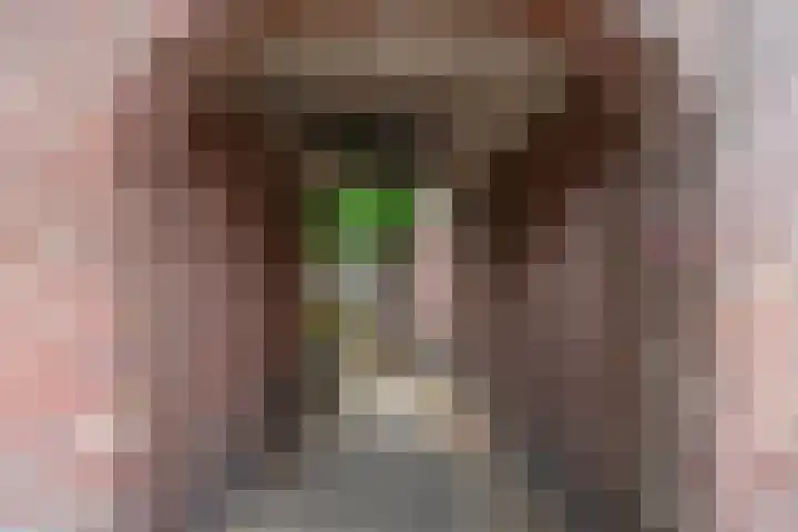 Averkampstraat 12 Eindhoven thumbnail 29
