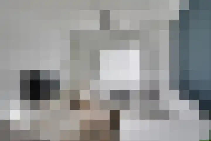Averkampstraat 12 Eindhoven thumbnail 4