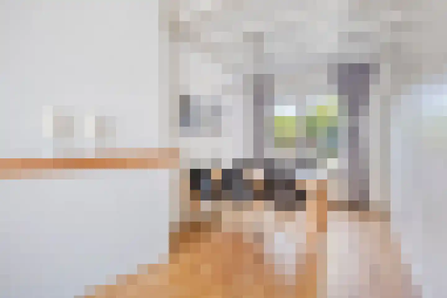 Averkampstraat 14 Eindhoven thumbnail 12