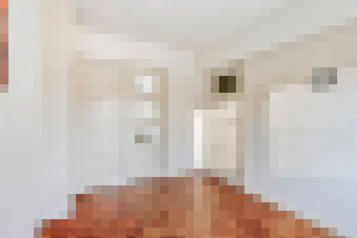 Averkampstraat 14 Eindhoven thumbnail 21