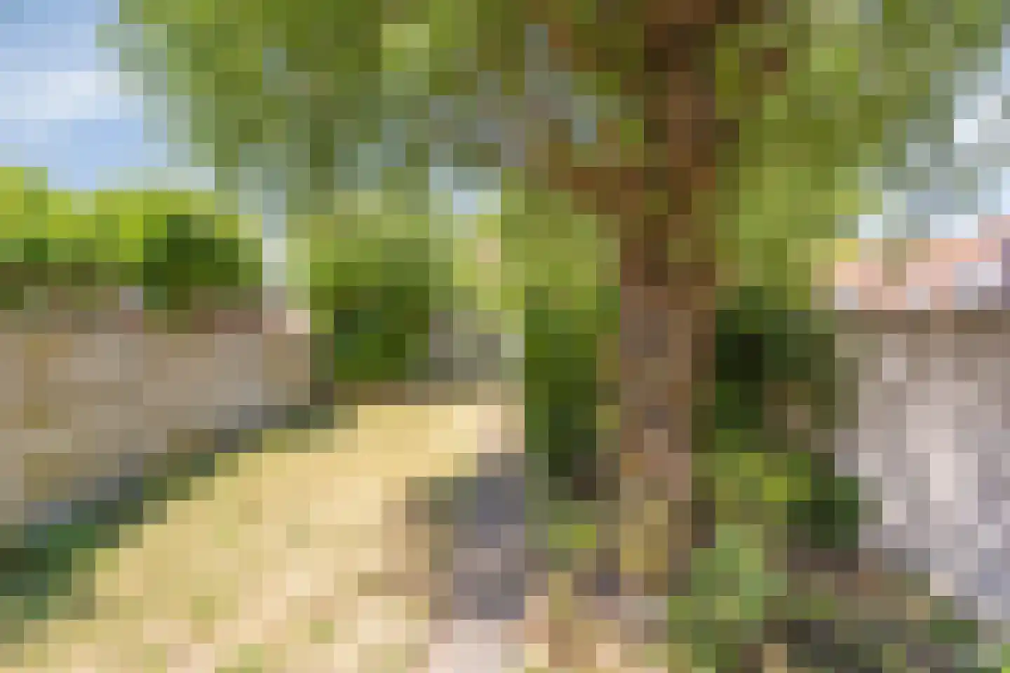 Averkampstraat 14 Eindhoven thumbnail 31