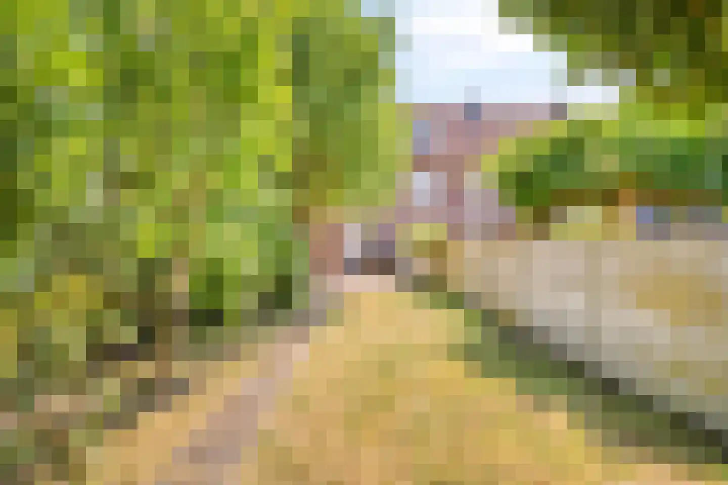 Averkampstraat 14 Eindhoven thumbnail 33