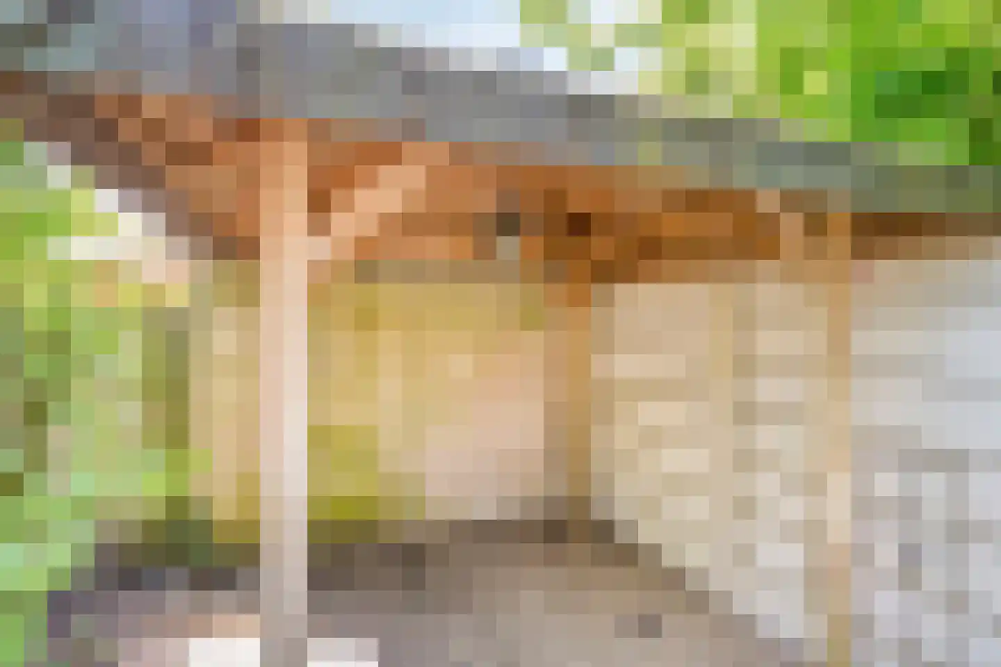Averkampstraat 14 Eindhoven thumbnail 34