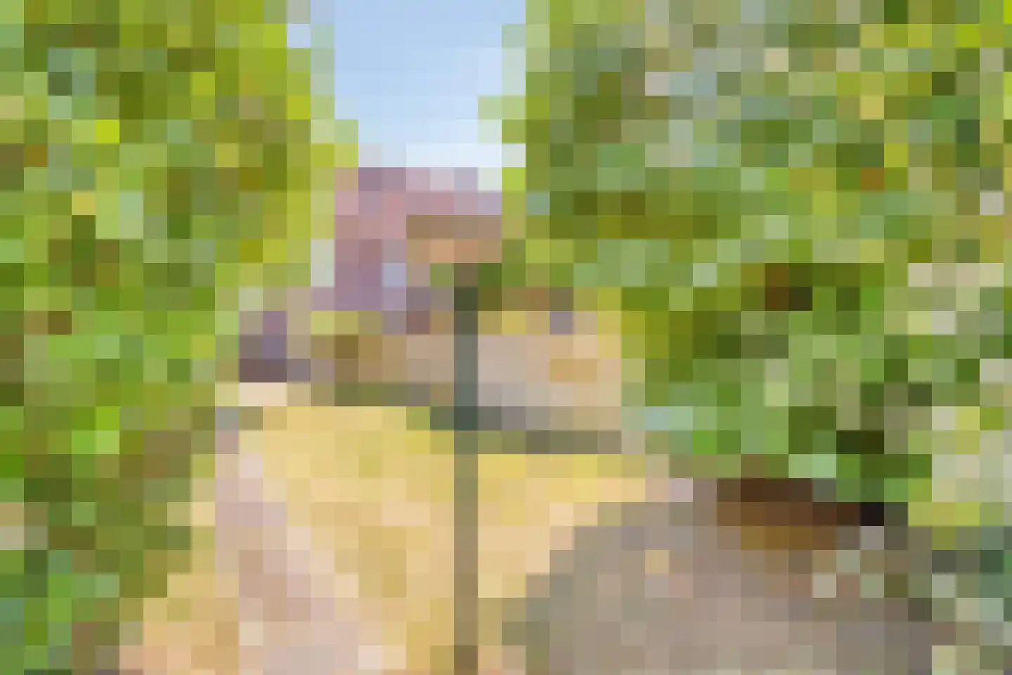 Averkampstraat 14 Eindhoven thumbnail 35