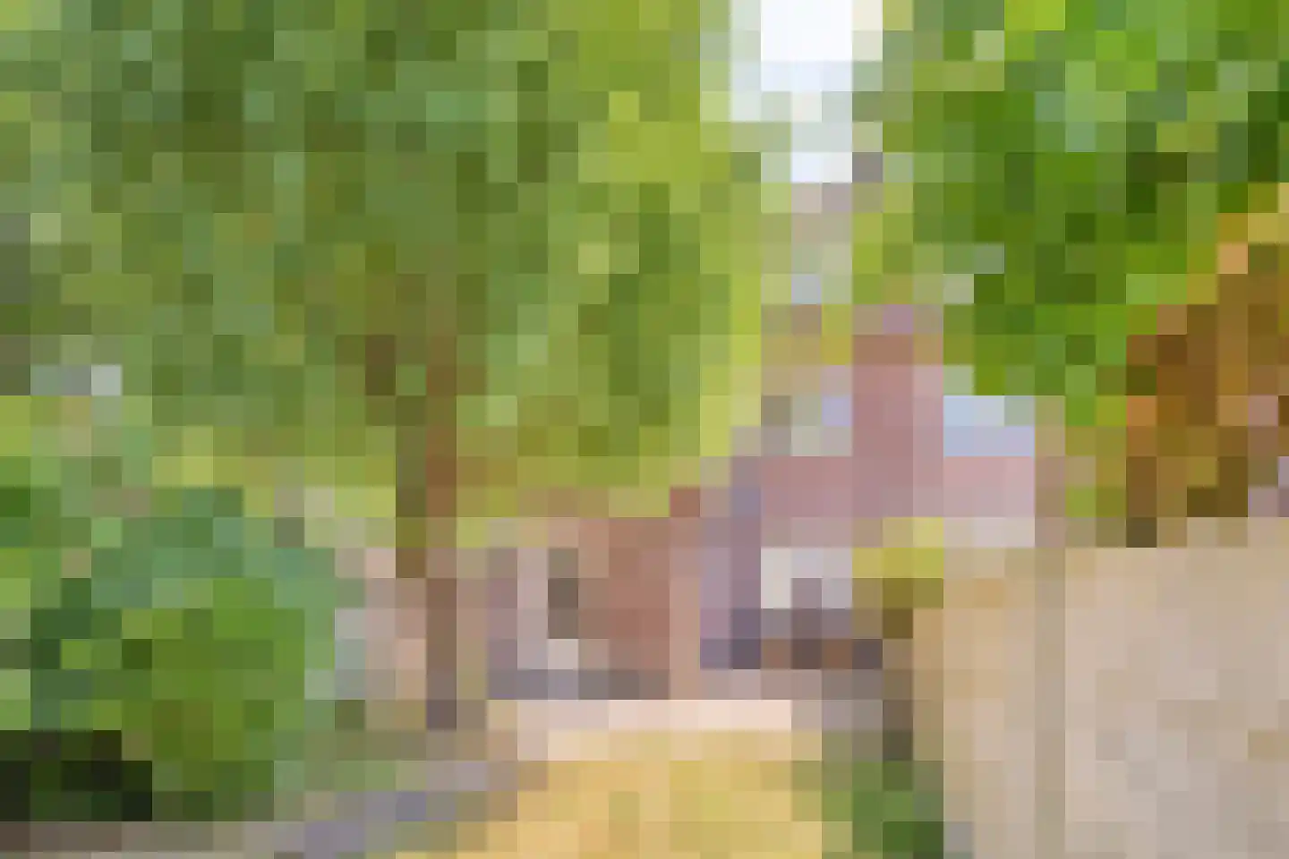 Averkampstraat 14 Eindhoven thumbnail 36