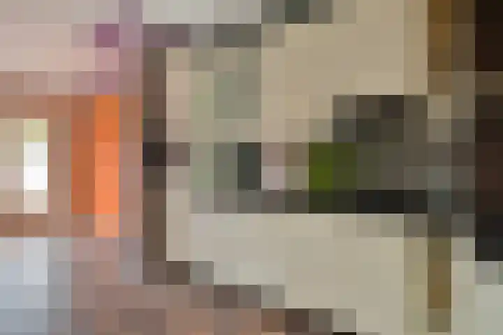 Averkampstraat 7 Eindhoven thumbnail 12