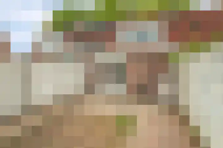 Averkampstraat 7 Eindhoven thumbnail 22