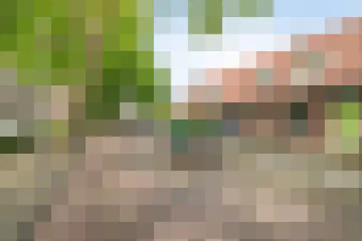 Averkampstraat 7 Eindhoven thumbnail 26