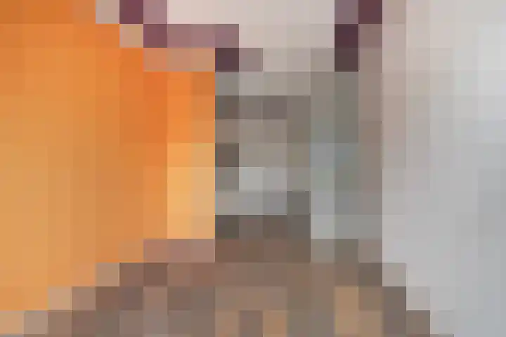 Averkampstraat 7 Eindhoven thumbnail 9