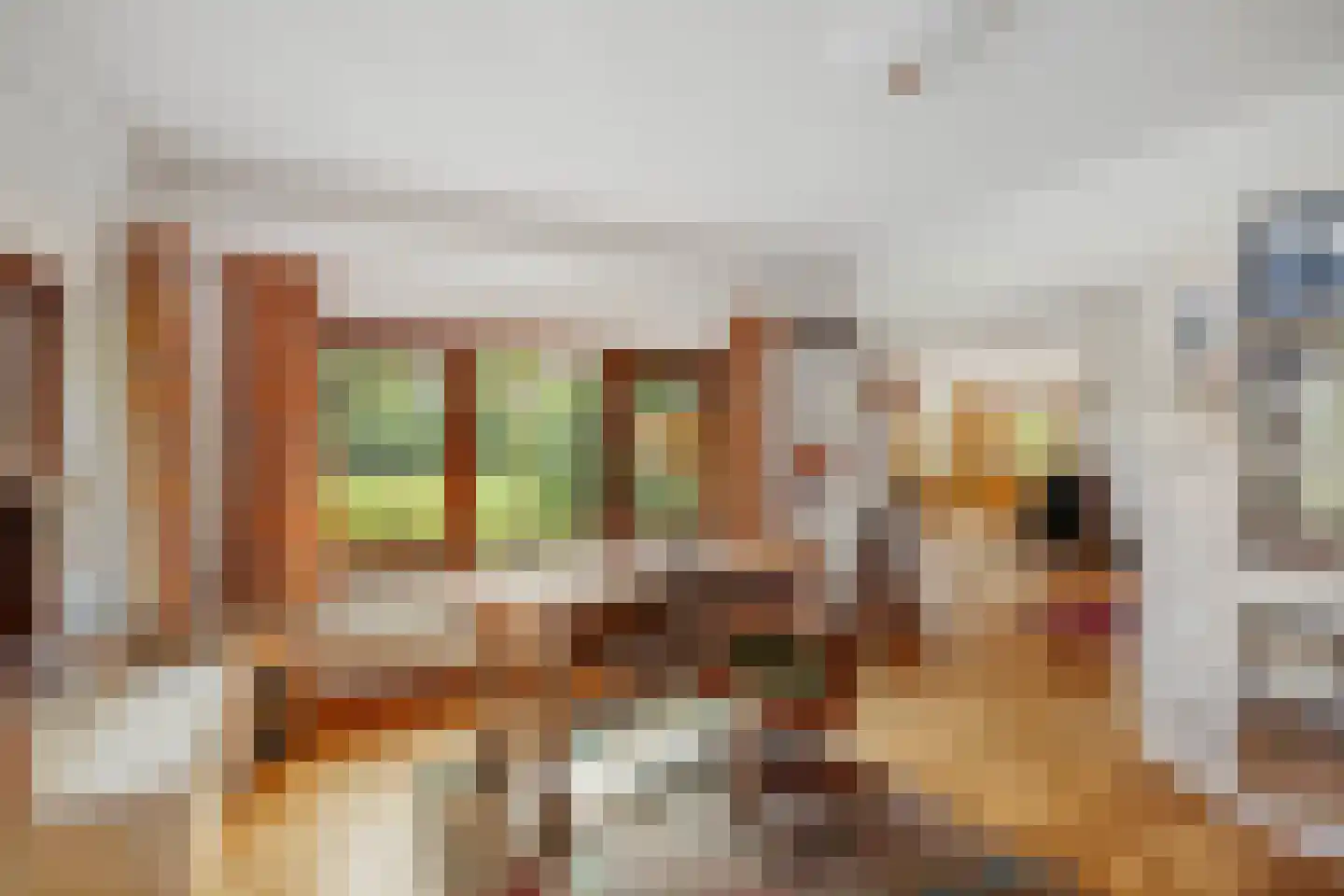 Averlose Houtweg 10 Diepenveen thumbnail 17