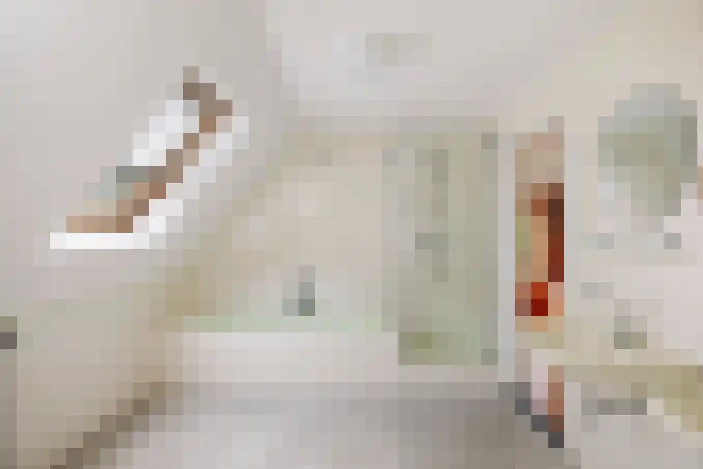 Averlose Houtweg 10 Diepenveen thumbnail 25