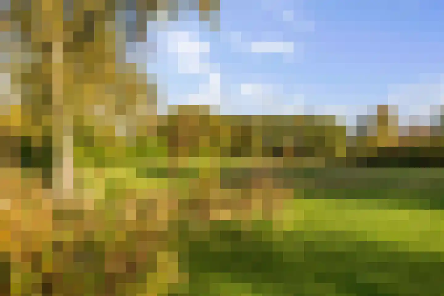 Averlose Houtweg 10 Diepenveen thumbnail 38