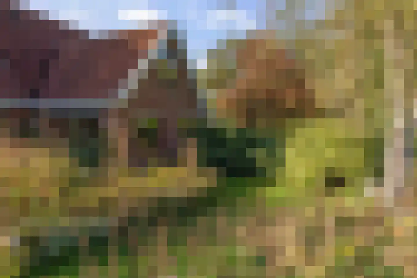 Averlose Houtweg 10 Diepenveen thumbnail 41