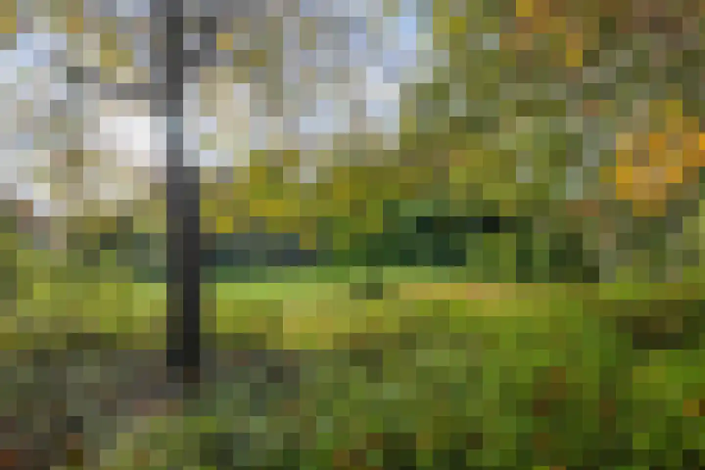 Averlose Houtweg 10 Diepenveen thumbnail 42