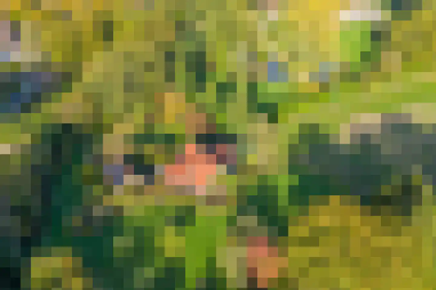 Averlose Houtweg 10 Diepenveen thumbnail 47