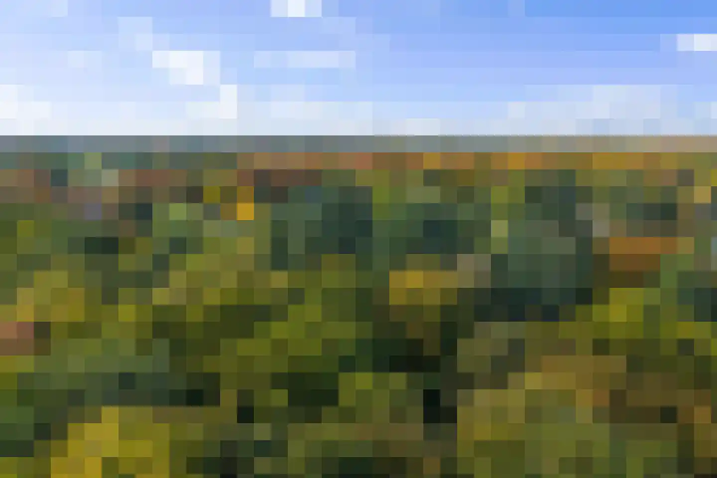 Averlose Houtweg 10 Diepenveen thumbnail 48