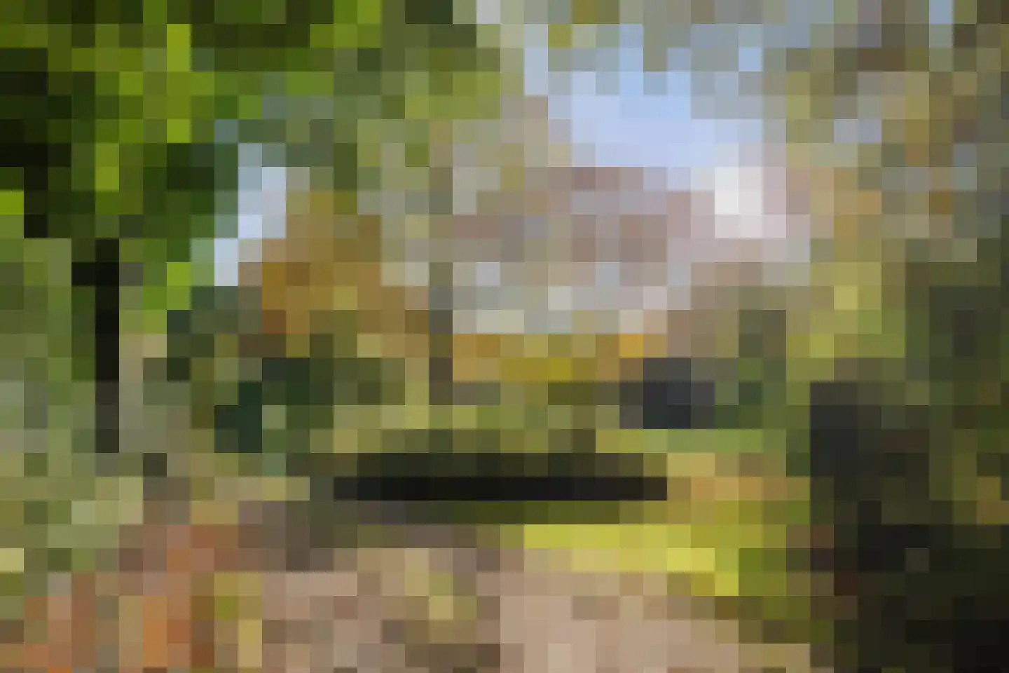 Averlose Houtweg 10 Diepenveen thumbnail 49