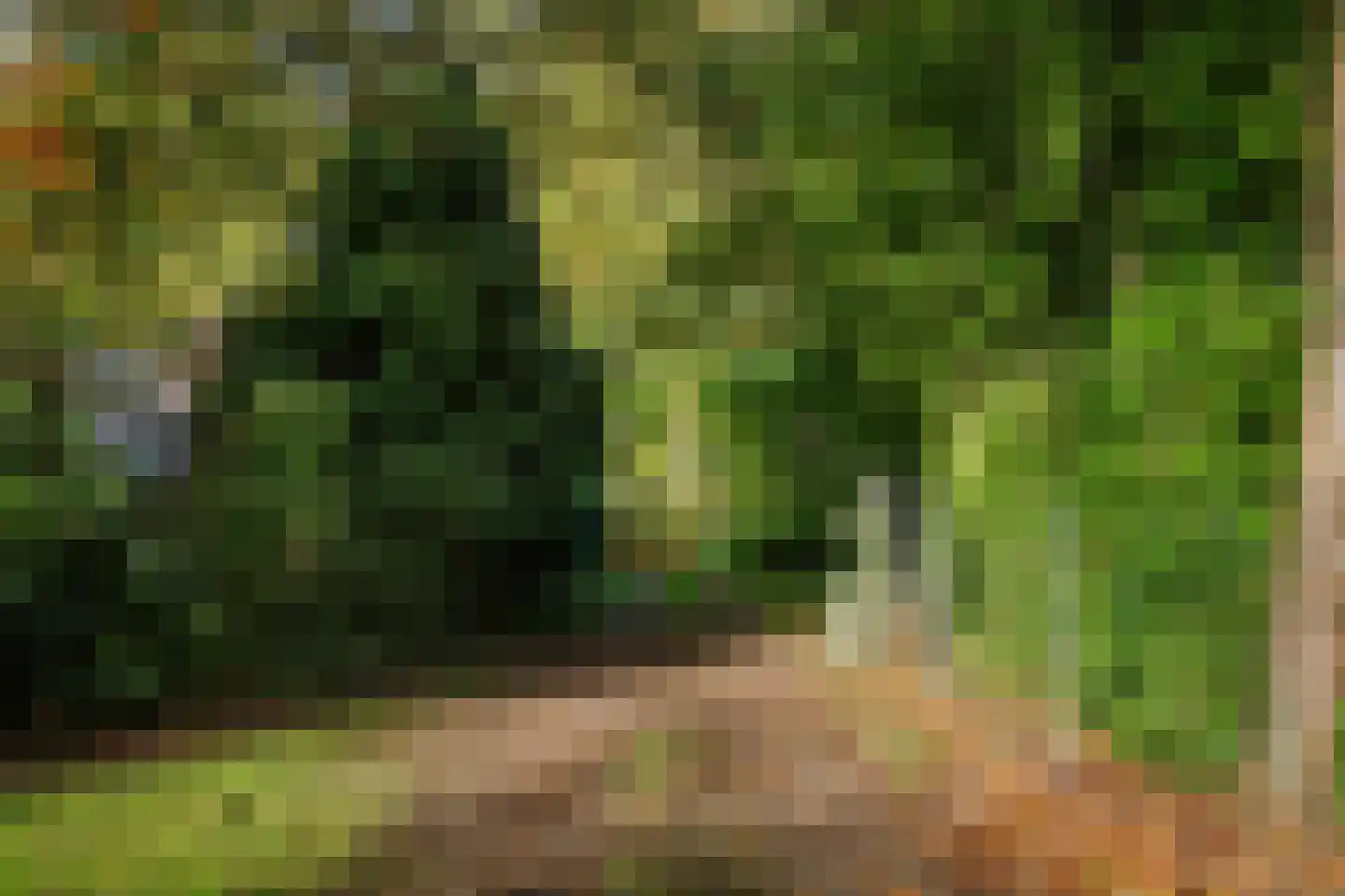 Averlose Houtweg 10 Diepenveen thumbnail 50