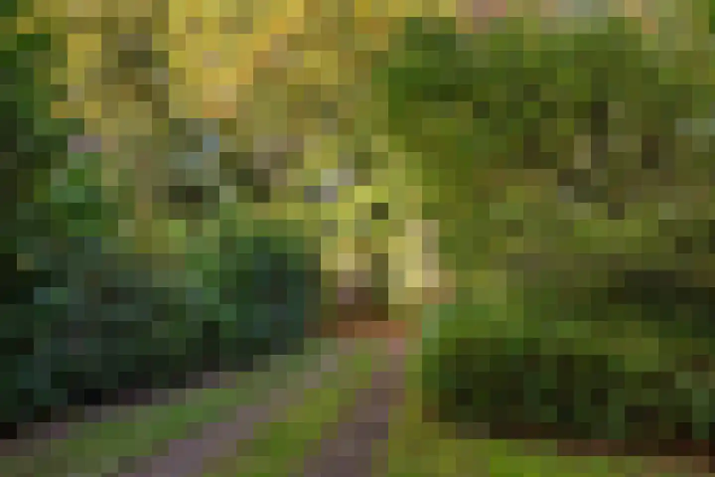 Averlose Houtweg 10 Diepenveen thumbnail 51