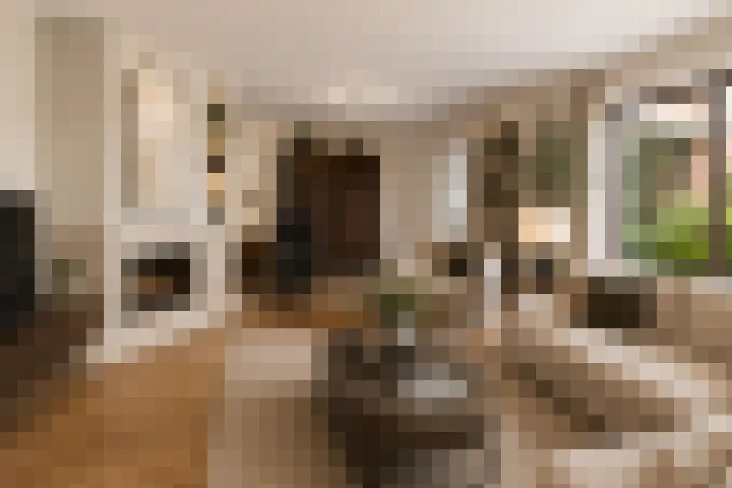 Averlose Houtweg 10 Diepenveen thumbnail 6
