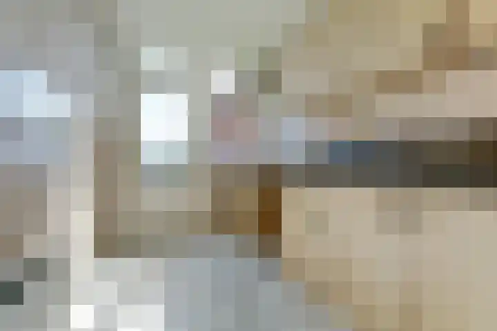 Averuitstraat 33 Waalwijk thumbnail 6