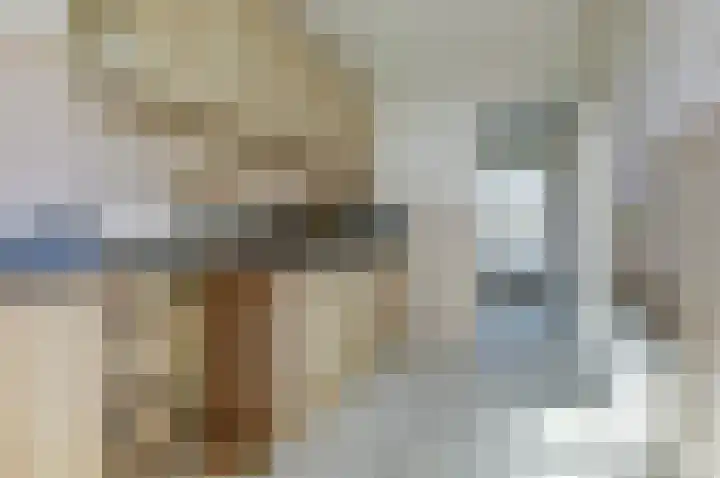 Averuitstraat 33 Waalwijk thumbnail 7