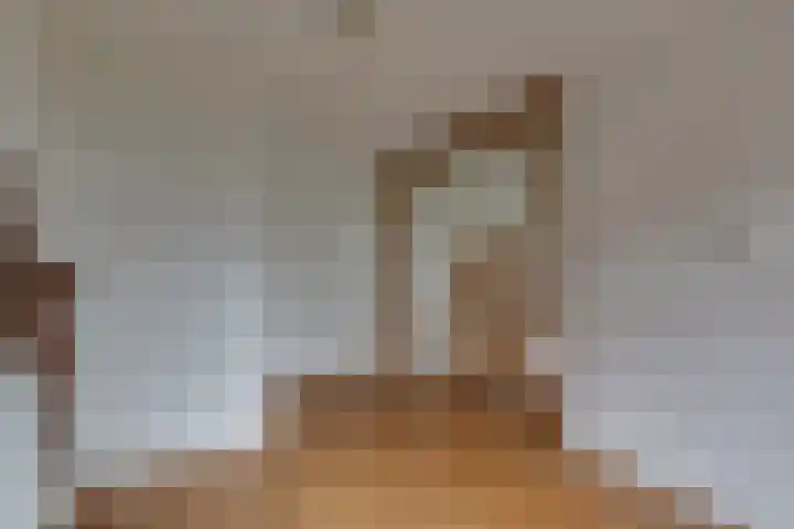 Avesterweg 15 Beltrum thumbnail 13