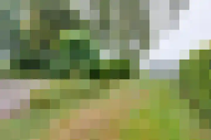 Avesterweg 15 Beltrum thumbnail 45
