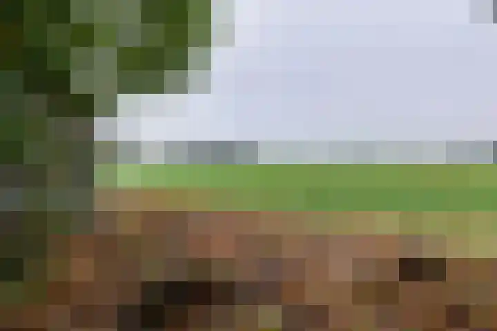 Avesterweg 15 Beltrum thumbnail 52
