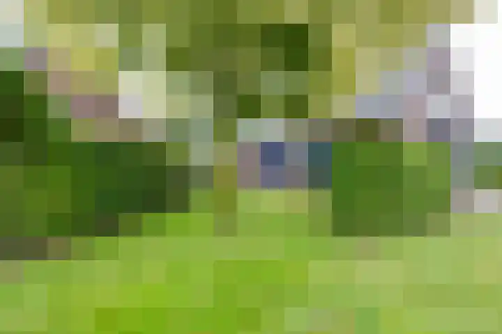 Avesterweg 15 Beltrum thumbnail 60