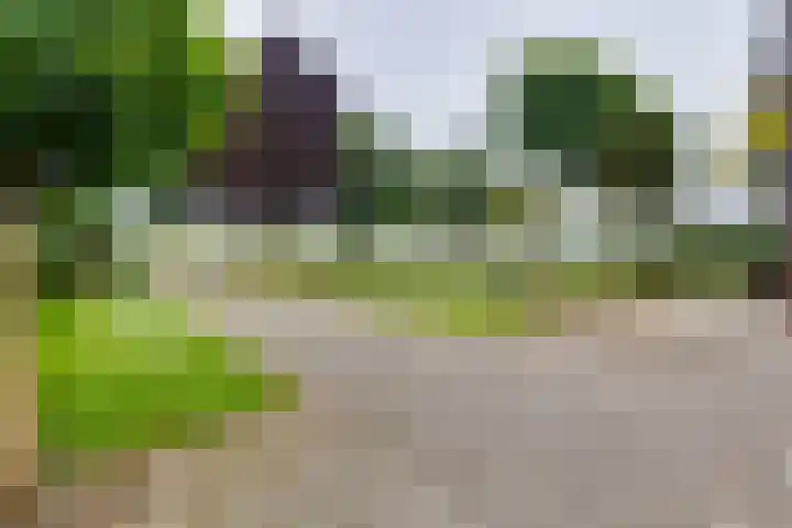 Avesterweg 15 Beltrum thumbnail 63