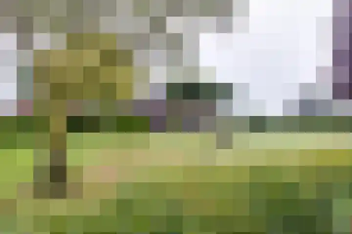 Avesterweg 15 Beltrum thumbnail 64