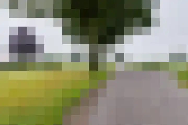 Avesterweg 15 Beltrum thumbnail 65