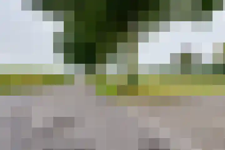 Avesterweg 15 Beltrum thumbnail 66