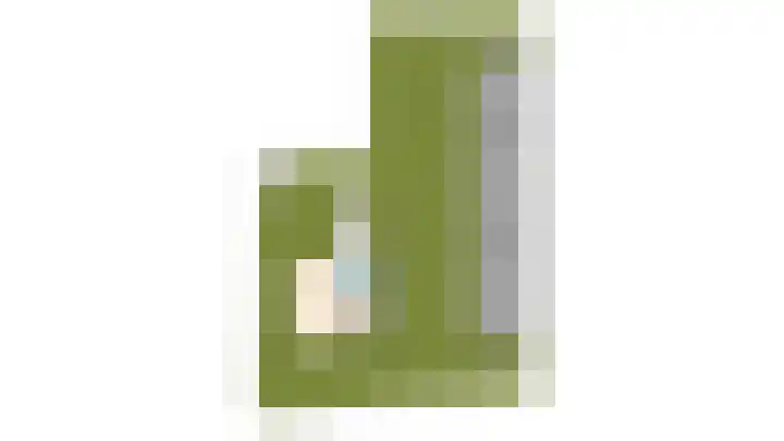 Ávilastraat 20 Lent