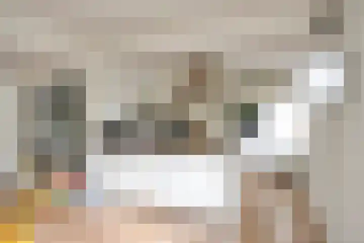 Ávilastraat 20 Lent thumbnail 14