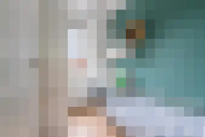 Ávilastraat 20 Lent thumbnail 19