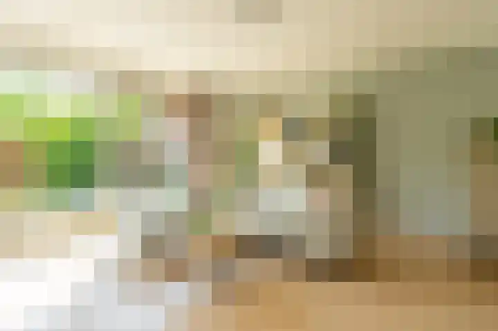 Ávilastraat 20 Lent foto 3